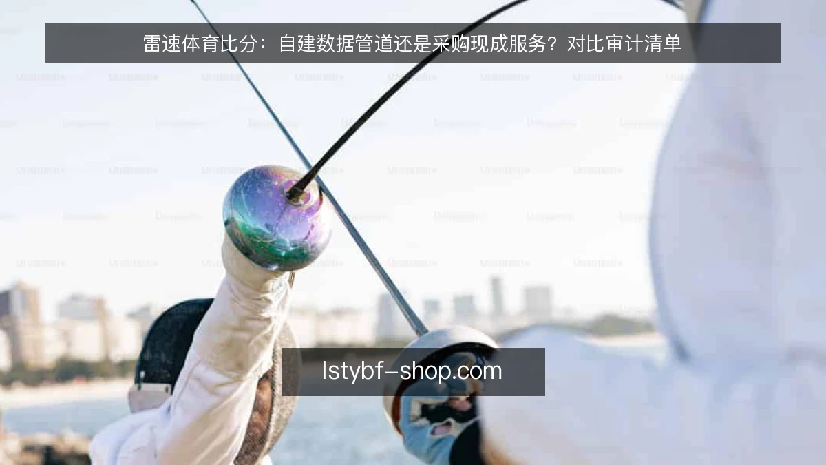 雷速体育比分：自建数据管道还是采购现成服务？对比审计清单